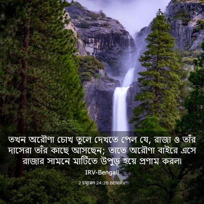 Picture 03 - 2 চমূৱেল 24:20 BENIRV - তখন অরৌণা চোখ তুলে - Bible Verse Picture