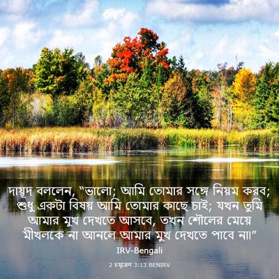 Picture 03 - 2 চমূৱেল 3:13 BENIRV - দায়ূদ বললেন, - Bible Verse Picture