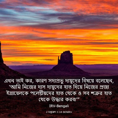 Picture 03 - 2 চমূৱেল 3:18 BENIRV - এখন তাই কর, কারণ - Bible Verse Picture