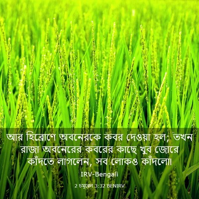Picture 03 - 2 চমূৱেল 3:32 BENIRV - আর হিব্রোণে - Bible Verse Picture