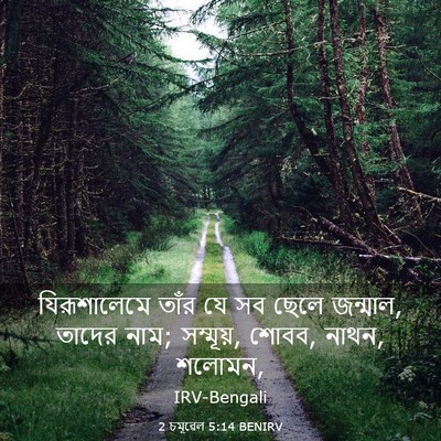 Picture 03 - 2 চমূৱেল 5:14 BENIRV - যিরূশালেমে তাঁর - Bible Verse Picture