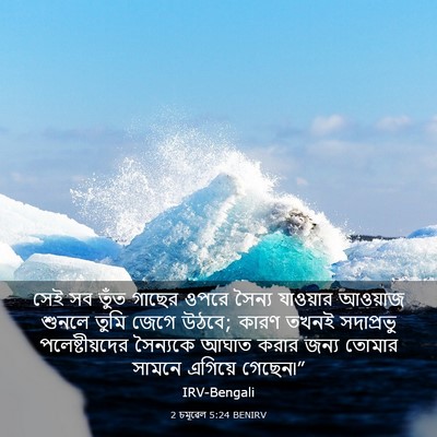 Picture 03 - 2 চমূৱেল 5:24 BENIRV - সেই সব তুঁত গাছের - Bible Verse Picture