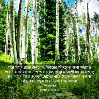 Picture 03 - 2 চমূৱেল 6:12 BENIRV - পরে দায়ূদ রাজা - Bible Verse Picture