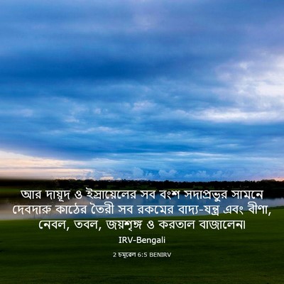Picture 03 - 2 চমূৱেল 6:5 BENIRV - আর দায়ূদ ও - Bible Verse Picture