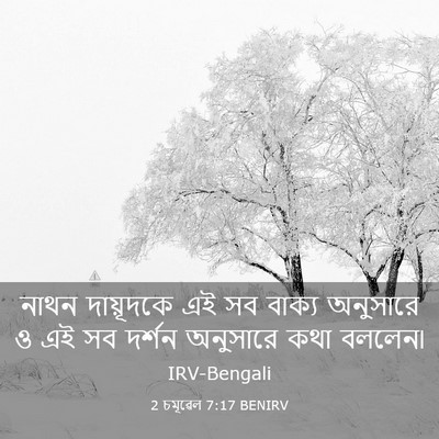 Picture 03 - 2 চমূৱেল 7:17 BENIRV - নাথন দায়ূদকে এই - Bible Verse Picture