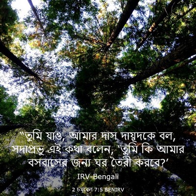 Picture 03 - 2 চমূৱেল 7:5 BENIRV - “তুমি যাও, আমার দাস - Bible Verse Picture