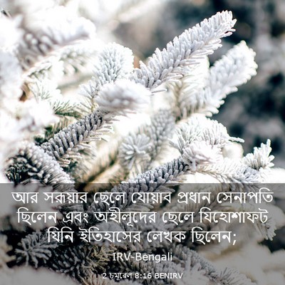 Picture 03 - 2 চমূৱেল 8:16 BENIRV - আর সরূয়ার ছেলে - Bible Verse Picture