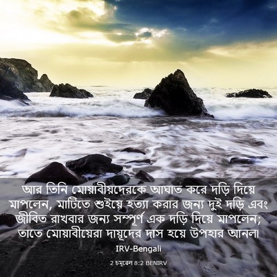 Picture 03 - 2 চমূৱেল 8:2 BENIRV - আর তিনি - Bible Verse Picture