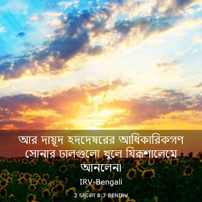 Picture 03 - 2 চমূৱেল 8:7 BENIRV - আর দায়ূদ - Bible Verse Picture