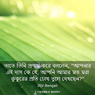 Picture 03 - 2 চমূৱেল 9:8 BENIRV - তাতে তিনি প্রণাম - Bible Verse Picture