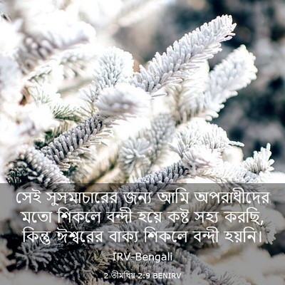 Picture 03 - 2 তীমথিয় 2:9 BENIRV - সেই সুসমাচারের - Bible Verse Picture