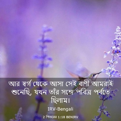 Picture 03 - 2 পিতরের 1:18 BENIRV - আর স্বর্গ থেকে আসা - Bible Verse Picture