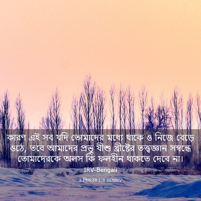 Picture 03 - 2 পিতরের 1:8 BENIRV - কারণ এই সব যদি - Bible Verse Picture
