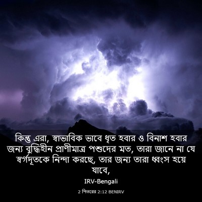 Picture 03 - 2 পিতরের 2:12 BENIRV - কিন্তু এরা, - Bible Verse Picture