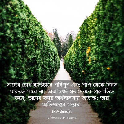 Picture 03 - 2 পিতরের 2:14 BENIRV - তাদের চোখ - Bible Verse Picture