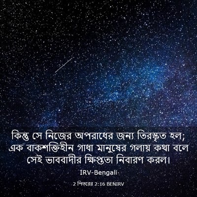 Picture 03 - 2 পিতরের 2:16 BENIRV - কিন্তু সে নিজের - Bible Verse Picture
