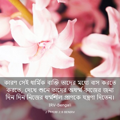 Picture 03 - 2 পিতরের 2:8 BENIRV - কারণ সেই ধার্মিক - Bible Verse Picture