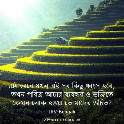 Picture 03 - 2 পিতরের 3:11 BENIRV - এই ভাবে যখন এই সব - Bible Verse Picture