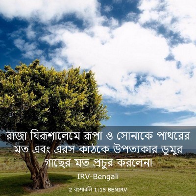 Picture 03 - 2 বংশাৱলি 1:15 BENIRV - রাজা যিরূশালেমে - Bible Verse Picture