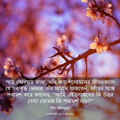 Picture 03 - 2 বংশাৱলি 10:6 BENIRV - পরে রহবিয়াম রাজা, - Bible Verse Picture