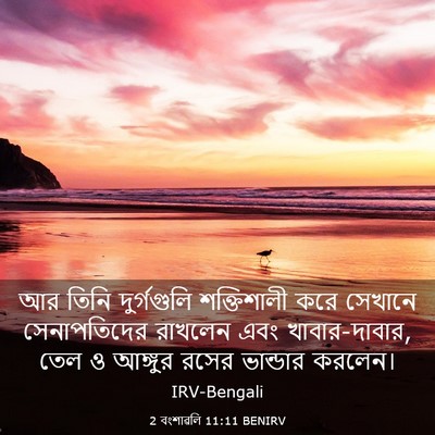 Picture 03 - 2 বংশাৱলি 11:11 BENIRV - আর তিনি দুর্গগুলি - Bible Verse Picture