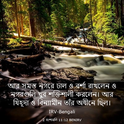 Picture 03 - 2 বংশাৱলি 11:12 BENIRV - আর সমস্ত নগরে ঢাল ও - Bible Verse Picture