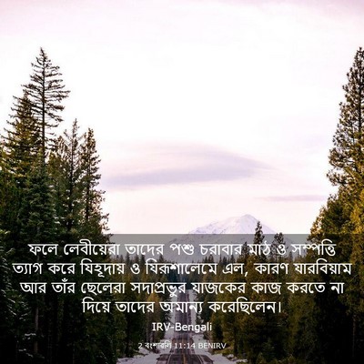 Picture 03 - 2 বংশাৱলি 11:14 BENIRV - ফলে লেবীয়েরা - Bible Verse Picture