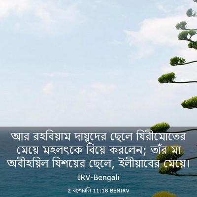 Picture 03 - 2 বংশাৱলি 11:18 BENIRV - আর রহবিয়াম - Bible Verse Picture