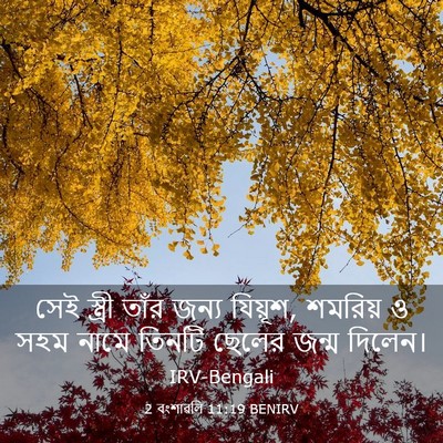 Picture 03 - 2 বংশাৱলি 11:19 BENIRV - সেই স্ত্রী তাঁর - Bible Verse Picture