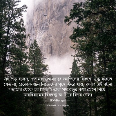 Picture 03 - 2 বংশাৱলি 11:4 BENIRV - সদাপ্রভু বলেন, - Bible Verse Picture