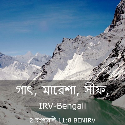 Picture 03 - 2 বংশাৱলি 11:8 BENIRV - গাৎ, মারেশা, - Bible Verse Picture