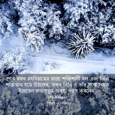 Picture 03 - 2 বংশাৱলি 12:1 BENIRV - পরে যখন - Bible Verse Picture