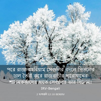 Picture 03 - 2 বংশাৱলি 12:10 BENIRV - পরে রাজা রহবিয়াম - Bible Verse Picture