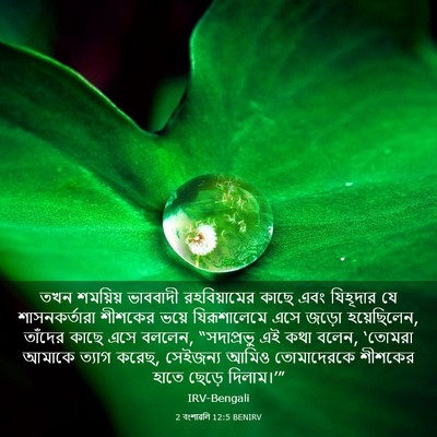 Picture 03 - 2 বংশাৱলি 12:5 BENIRV - তখন শময়িয় - Bible Verse Picture