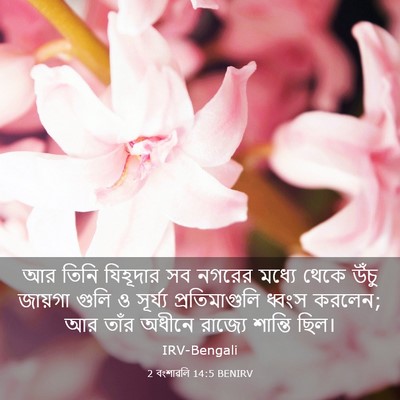 Picture 03 - 2 বংশাৱলি 14:5 BENIRV - আর তিনি যিহূদার সব - Bible Verse Picture