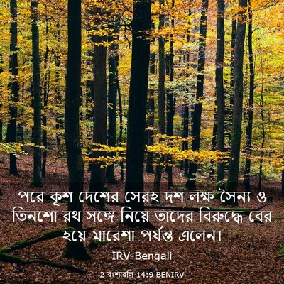 Picture 03 - 2 বংশাৱলি 14:9 BENIRV - পরে কূশ দেশের সেরহ - Bible Verse Picture