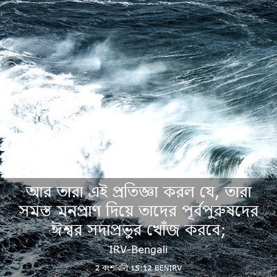 Picture 03 - 2 বংশাৱলি 15:12 BENIRV - আর তারা এই - Bible Verse Picture