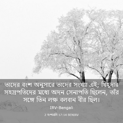 Picture 03 - 2 বংশাৱলি 17:14 BENIRV - তাদের বংশ অনুসারে - Bible Verse Picture