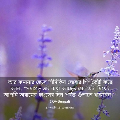 Picture 03 - 2 বংশাৱলি 18:10 BENIRV - আর কনানার ছেলে - Bible Verse Picture