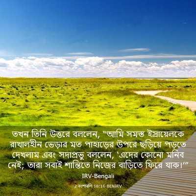 Picture 03 - 2 বংশাৱলি 18:16 BENIRV - তখন তিনি উত্তরে - Bible Verse Picture