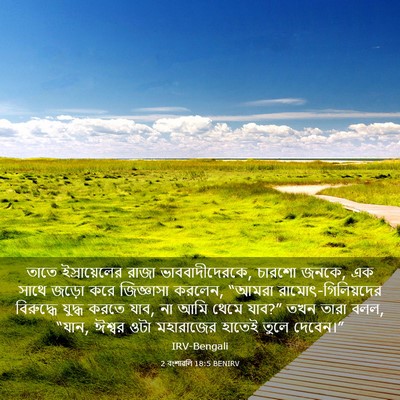 Picture 03 - 2 বংশাৱলি 18:5 BENIRV - তাতে ইস্রায়েলের - Bible Verse Picture