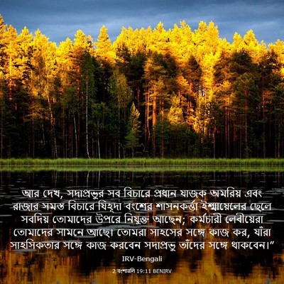 Picture 03 - 2 বংশাৱলি 19:11 BENIRV - আর দেখ, সদাপ্রভুর - Bible Verse Picture