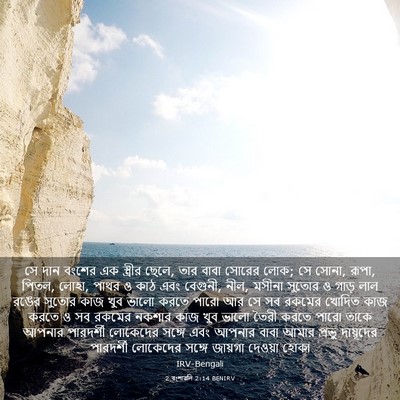 Picture 03 - 2 বংশাৱলি 2:14 BENIRV - সে দান বংশের এক - Bible Verse Picture
