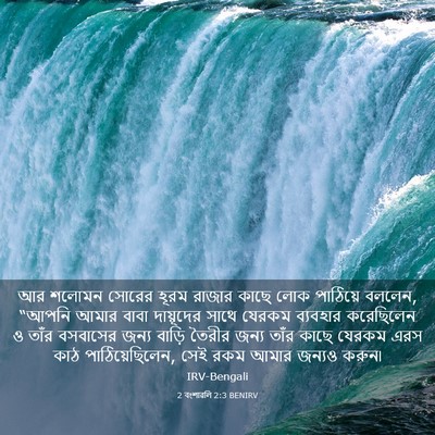 Picture 03 - 2 বংশাৱলি 2:3 BENIRV - আর শলোমন সোরের - Bible Verse Picture