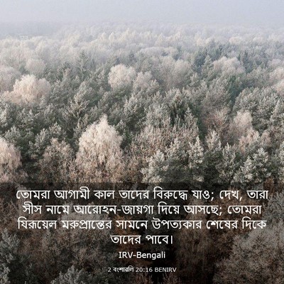 Picture 03 - 2 বংশাৱলি 20:16 BENIRV - তোমরা আগামী কাল - Bible Verse Picture
