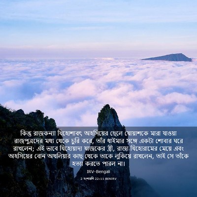 Picture 03 - 2 বংশাৱলি 22:11 BENIRV - কিন্তু রাজকন্যা - Bible Verse Picture