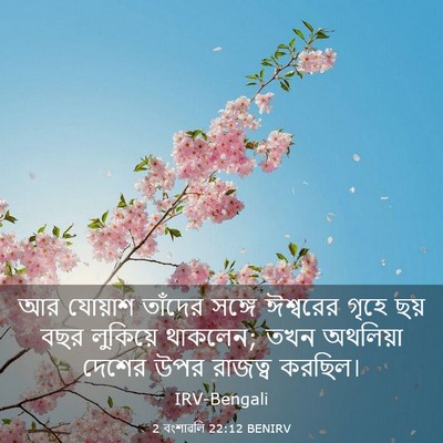 Picture 03 - 2 বংশাৱলি 22:12 BENIRV - আর যোয়াশ তাঁদের - Bible Verse Picture