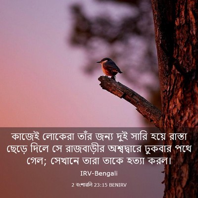 Picture 03 - 2 বংশাৱলি 23:15 BENIRV - কাজেই লোকেরা তাঁর - Bible Verse Picture