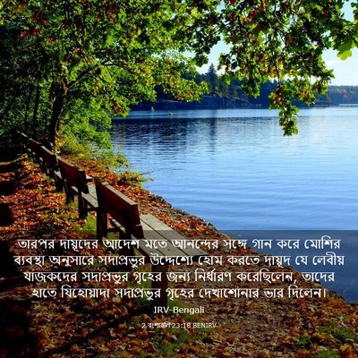 Picture 03 - 2 বংশাৱলি 23:18 BENIRV - তারপর দায়ূদের - Bible Verse Picture