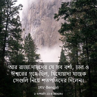 Picture 03 - 2 বংশাৱলি 23:9 BENIRV - আর রাজা দায়ূদের - Bible Verse Picture